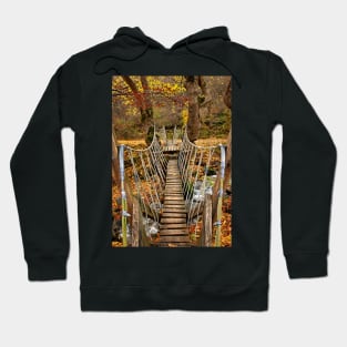 Autumnal crossing on the "Path of Love" Hoodie